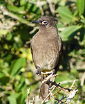 P1020974a