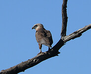 P1030934a
