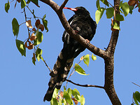 P1030972