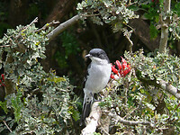 P1050425
