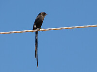 P1050916
