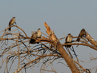 P1060151