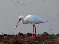 P1060397