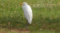 P1350491