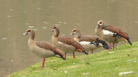 P1350574