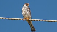 P1360373