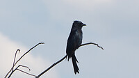 P1360375