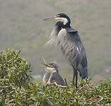 P1410064a