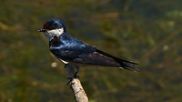 P1410282