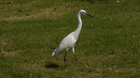 P1410297