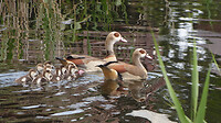 P1410341