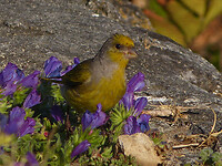 P1420399
