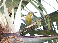 P1420804