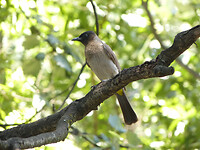 P1430585
