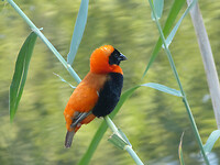 P1430638