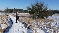 Strabrechtse heide