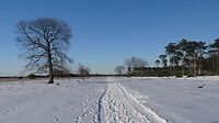 Strabrechtse heide