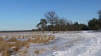 Strabrechtse heide