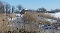 landschap