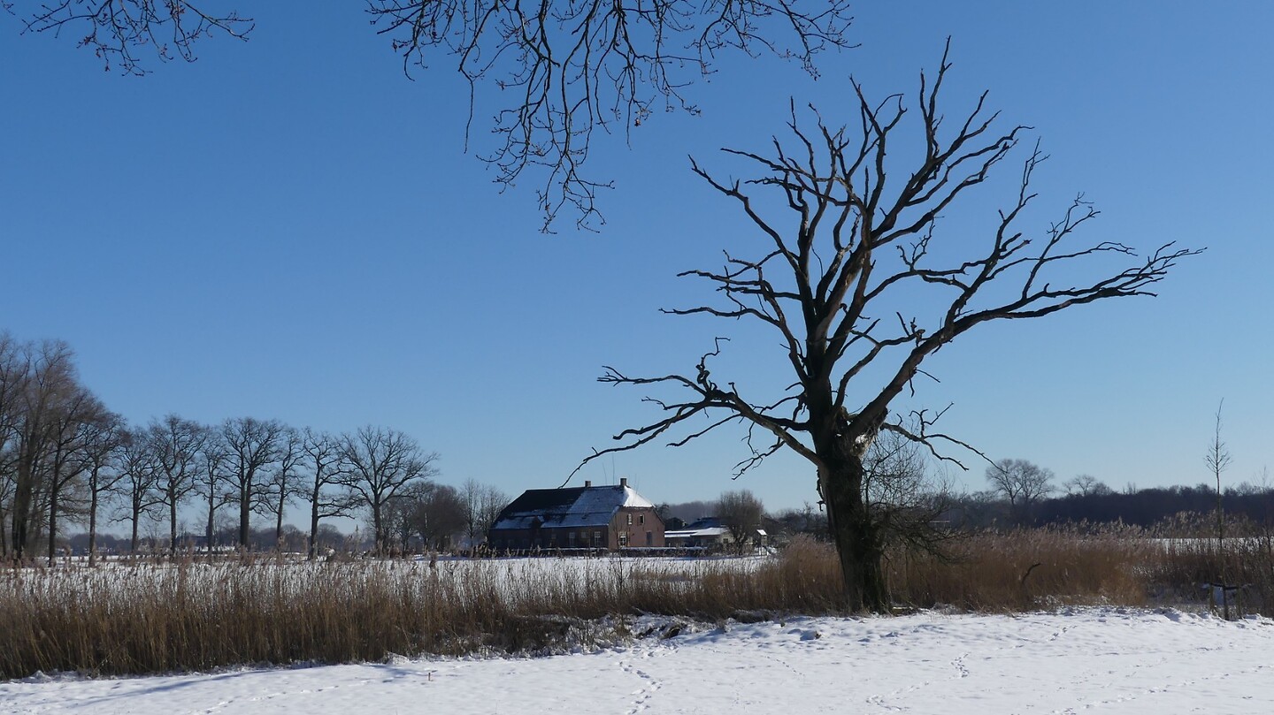 landschap
