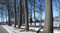 Langs de weg