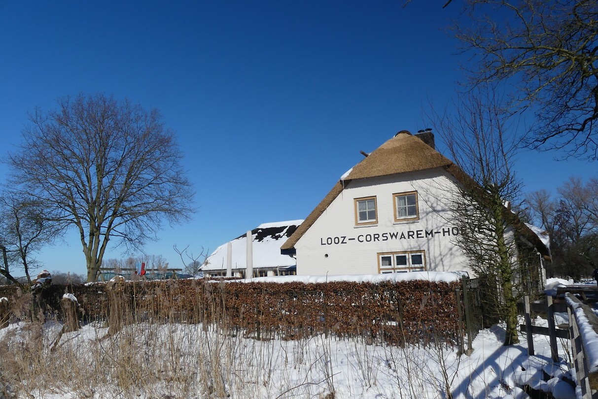 boerderij