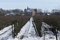 Wijngaard bij Croy
