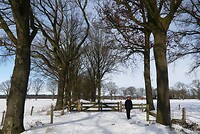 winterlandschap