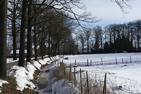 winterlandschap