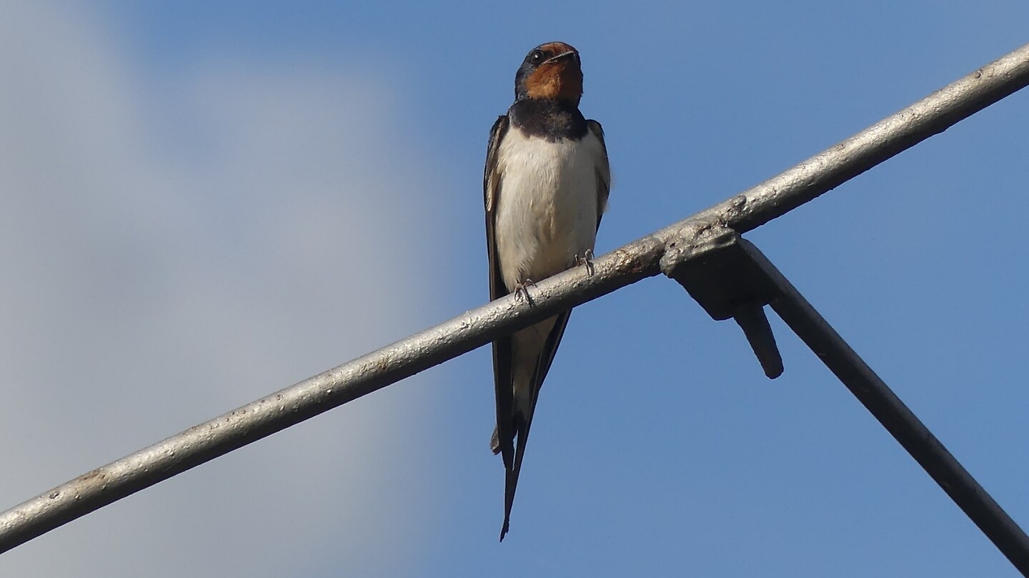 P1100668