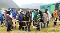 Plaatselijke bevolking