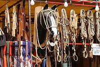 Paardenhoofdstellen