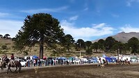 Festival in Caviahue