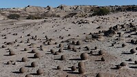 bolletjes van vroegere parasieten