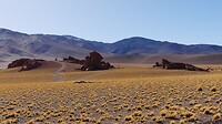 bizar landschap