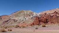 Colorados