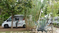 groene camping