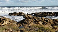 Strandkamperen Punta Negra