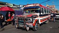 Bus