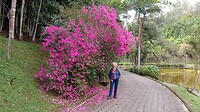 in het park