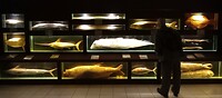 Oceanografisch museum