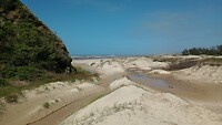 Duinen