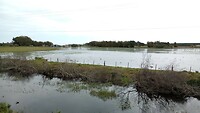 Overstromingen