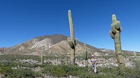 Nat park Cardones