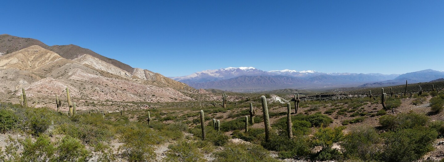 Nat. park Cardones