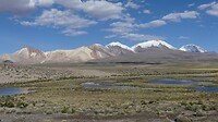 Lauca