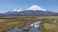 Lauca park