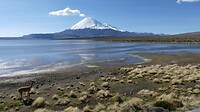 Lauca park