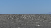 Nasca tekening