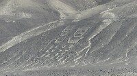 Nasca 2 mannetjes